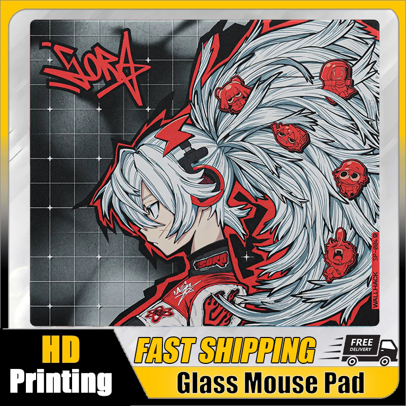 لوحة ماوس زجاجية W-Wallhack SP - مراجعة Fps Gaming Mouse وسعره